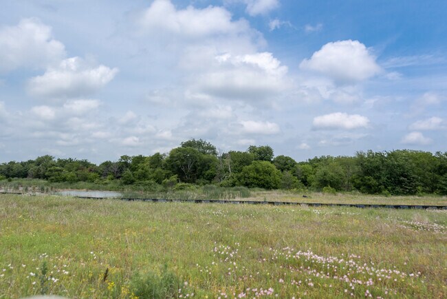 Building Photo - 243 Frio Dr