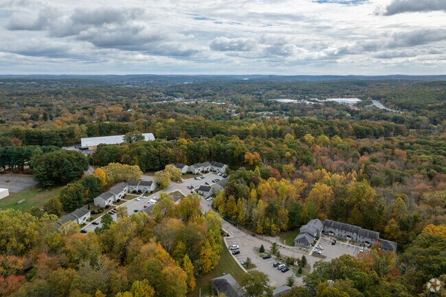 Aerial Context 1 - Norwich Woods