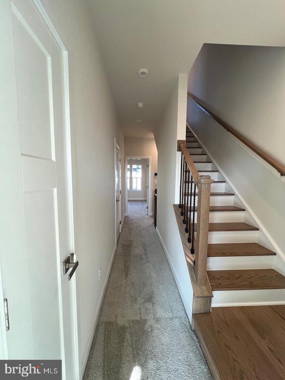 Building Photo - 4308 Ellipse Ter