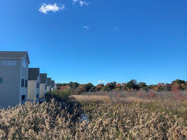 Building Photo - 933 Ocean Blvd