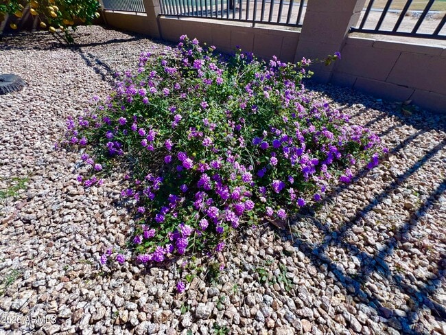 Building Photo - 14313 W Alvarado Dr