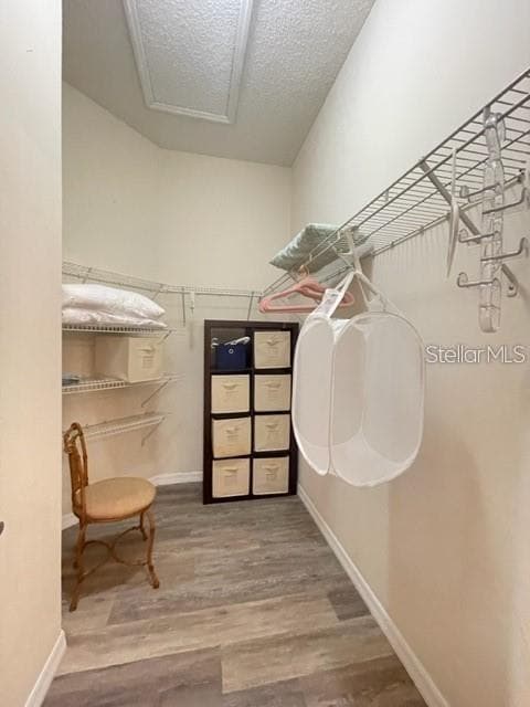 Building Photo - 2427 Chestnut Terrace