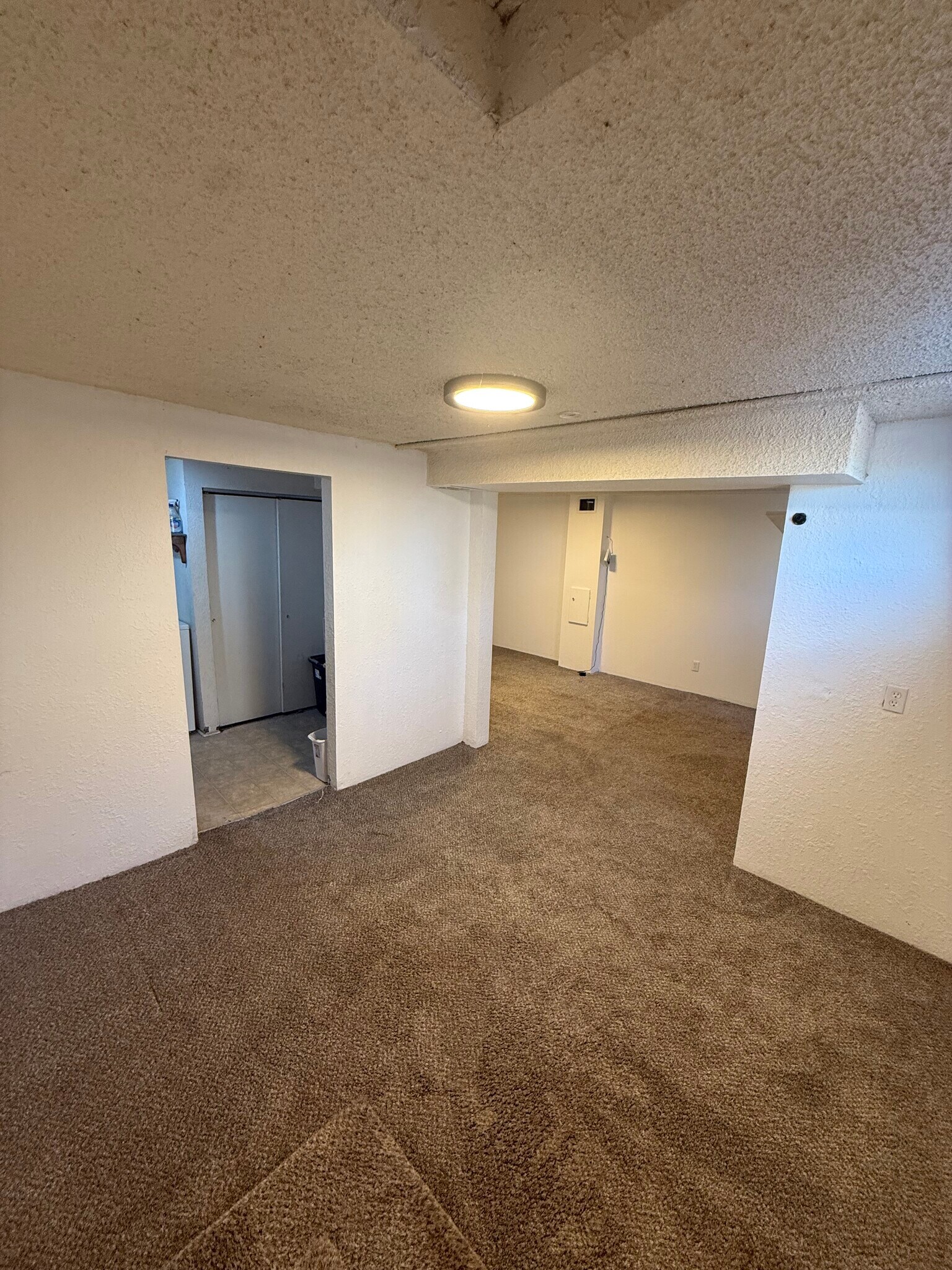 Downstairs living area 3 - 42 Alcott St