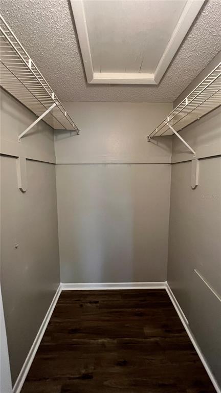 Building Photo - 632 Pavare Ct