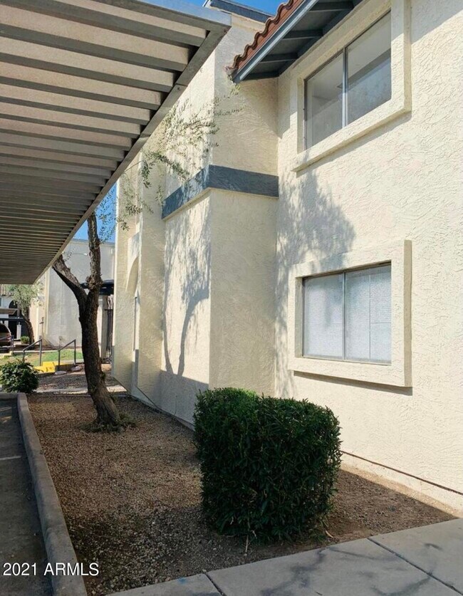 Building Photo - 1542 W Sahuaro Dr