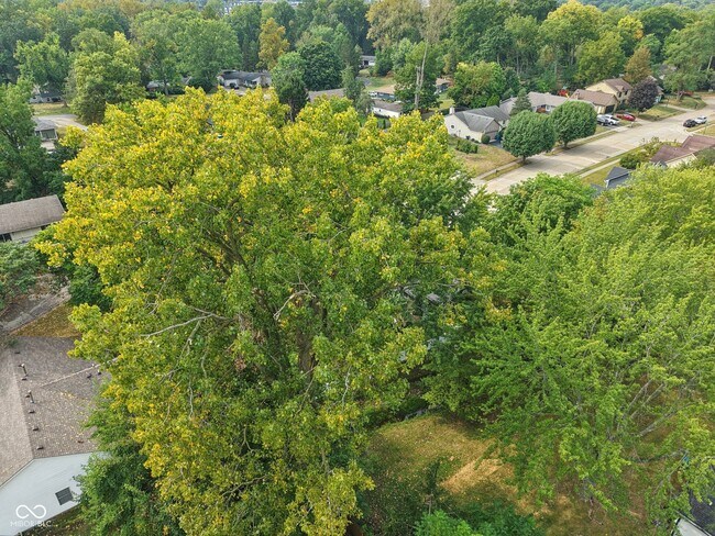 Building Photo - 521 Thornberry Dr