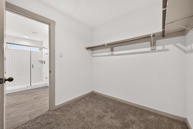 Building Photo - 8043 Black Forest Ln