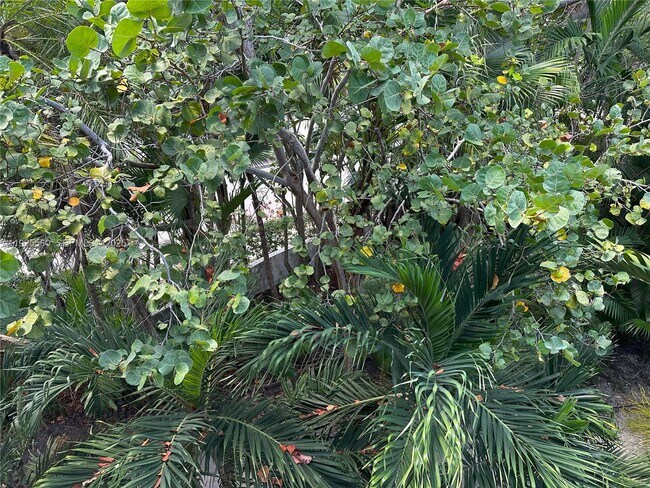 Building Photo - 55 Ocean Ln Dr