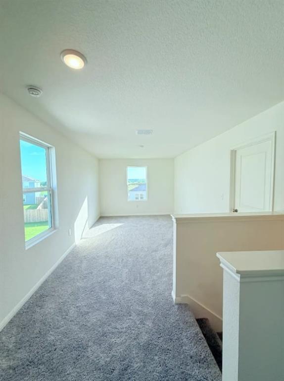 Building Photo - 113 Blazilmar Ln