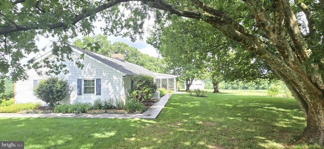 Building Photo - 5293 Roller Rd