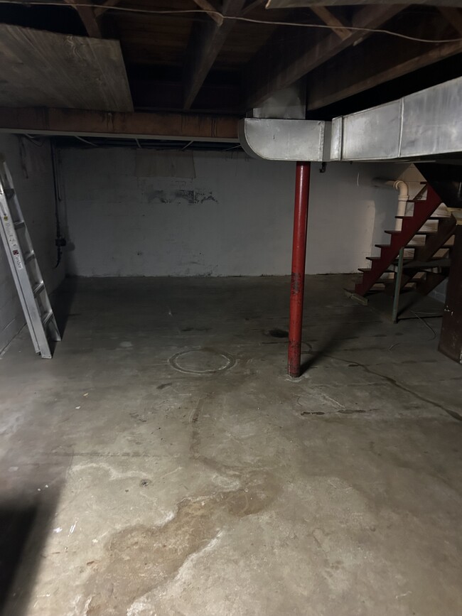 Basement - 314 W Maple St