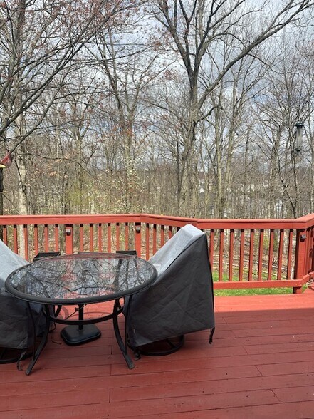 Rear Yard - 411 Lundy Ct