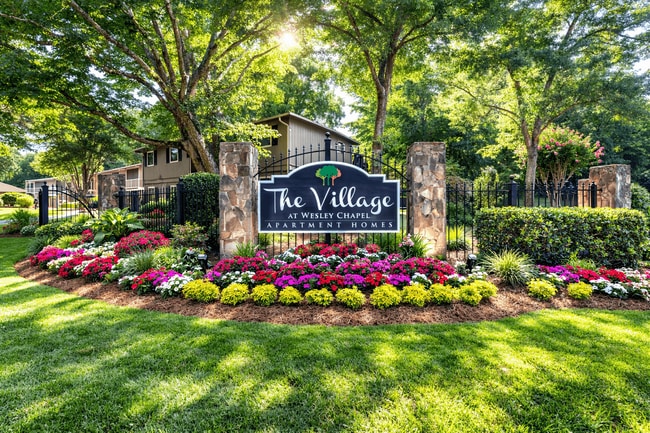 Building Photo - The Village at Wesley Chapel