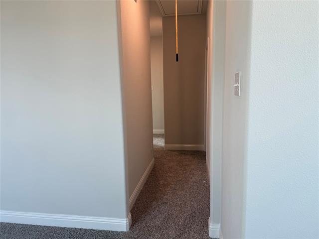 Building Photo - 3206 Cordelia Dr