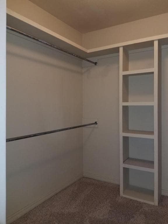 Building Photo - 2803 Conner Dr