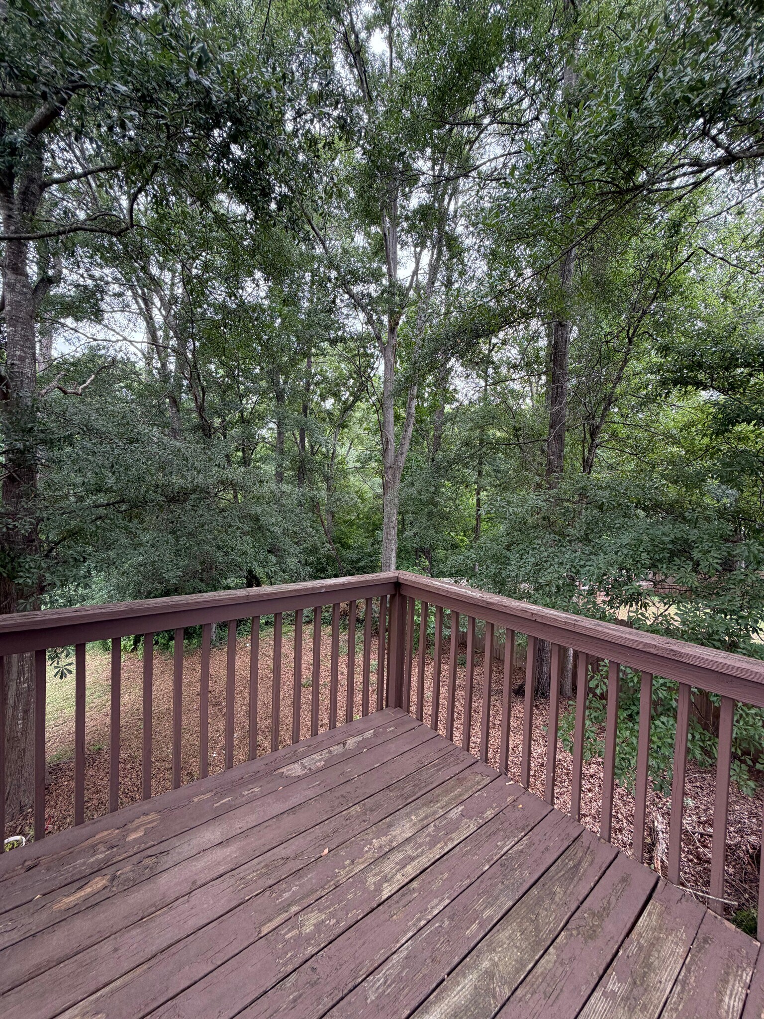 Building Photo - 693 Cotton Branch Dr