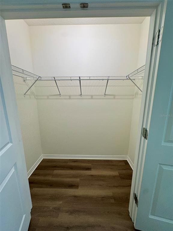 Building Photo - 32242 Turtle Grace Lp