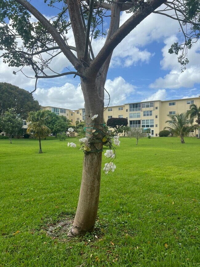 Building Photo - 2615 NE 3rd Ct