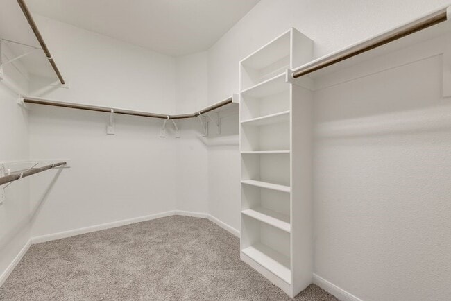 Building Photo - 9245 Switchgrass Ln