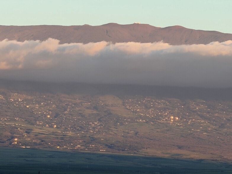 Building Photo - 295 Liholiho St