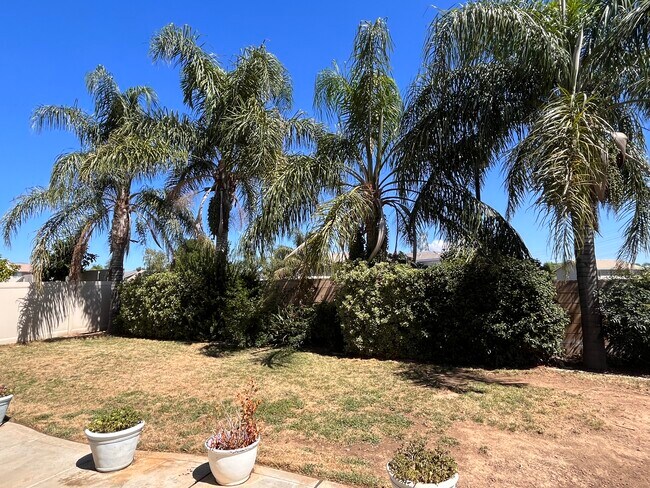 Backyard - 1552 Shadow Hill Trl