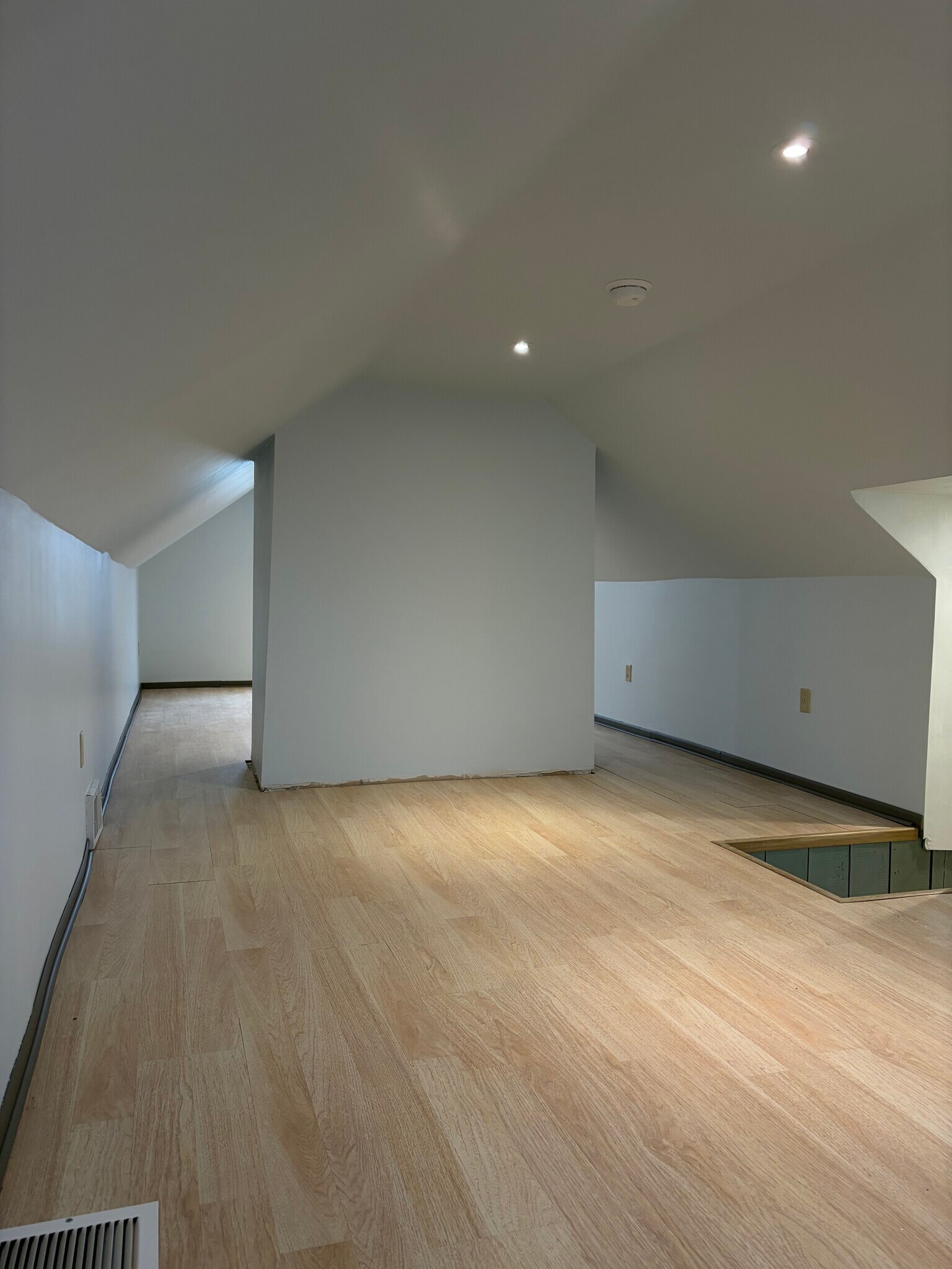 Attic - 1233 29th St NE