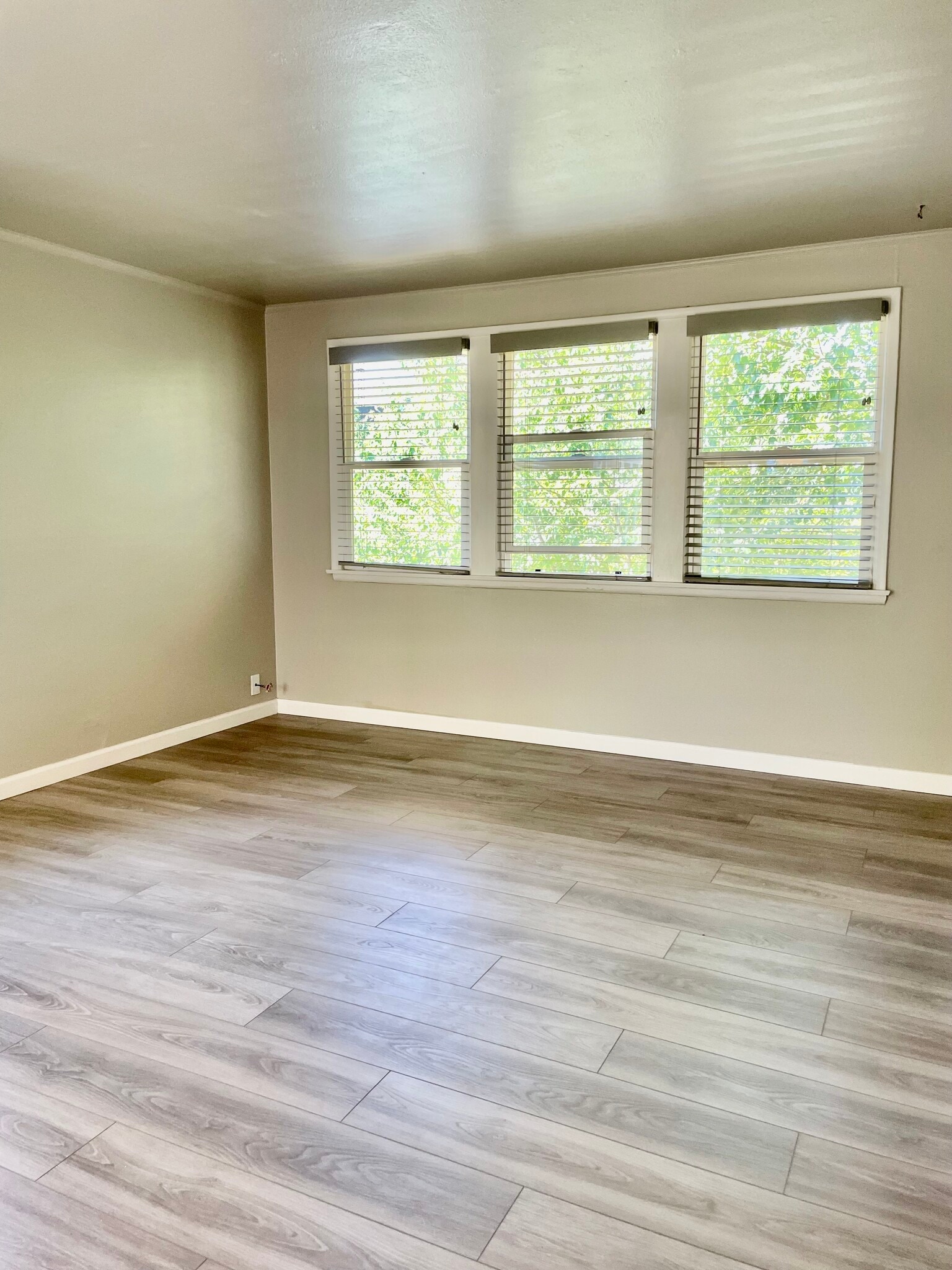 airy living room - 2934 2nd Ave N