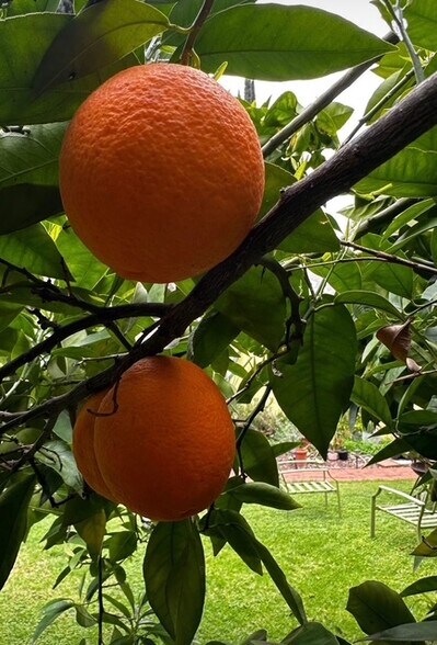 Building Photo - 4435 12th St