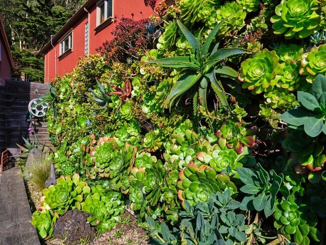 Building Photo - Forest Knolls: Luxuriously Remodeled Single Family Home w/ Expansive Views, Family Room, Office, ...