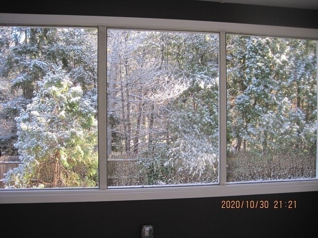 Building Photo - 9 Rickard St