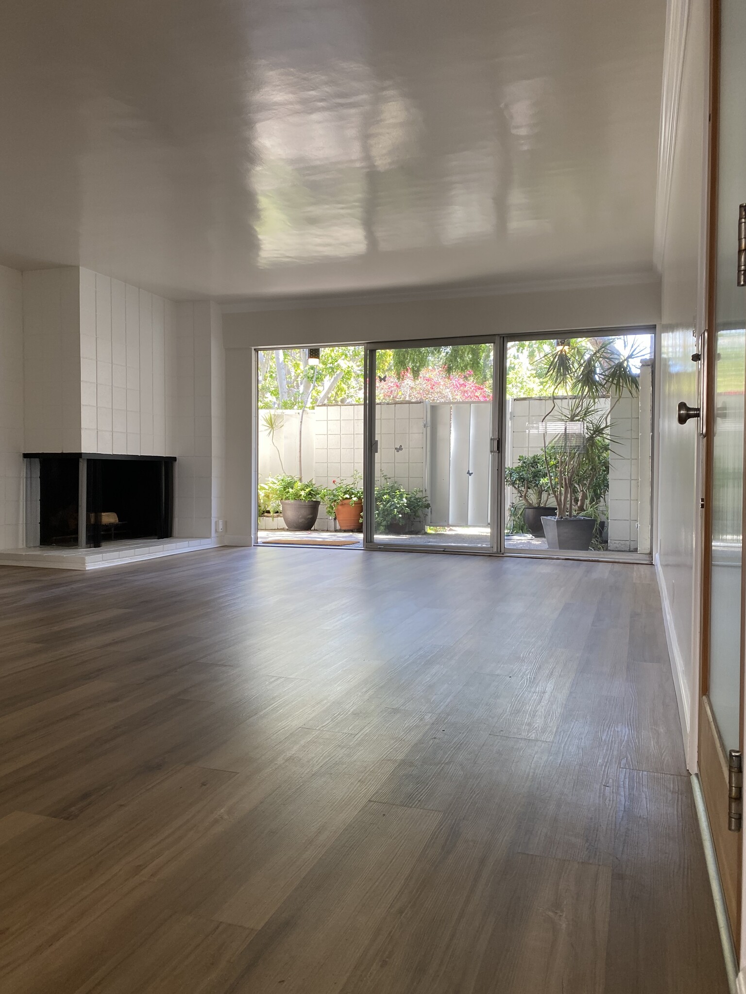 Living Room - 241 S Barrington Ave