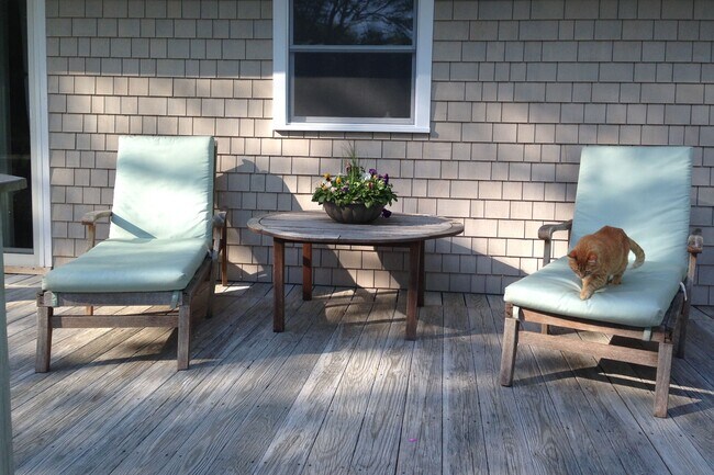 Building Photo - 16 Beechwood Dr