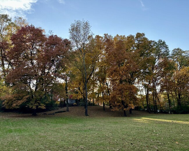 Building Photo - Extensively Renovated 4-Bedroom Home in Prime Location! Unbelievable custom kitchen.