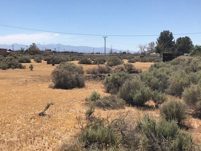 Building Photo - COUNTRY LIVING 2 BEDROOM HOME IN APPLE VALLEY