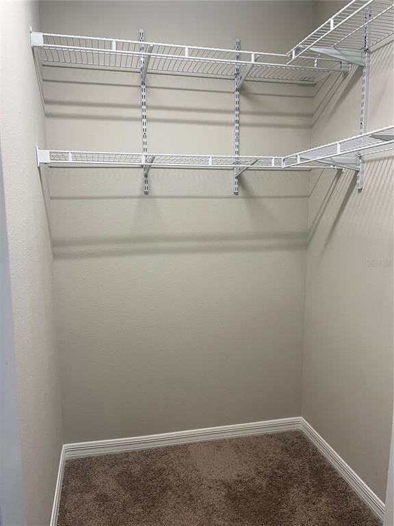 Building Photo - 34209 Scarlet Sage Ct