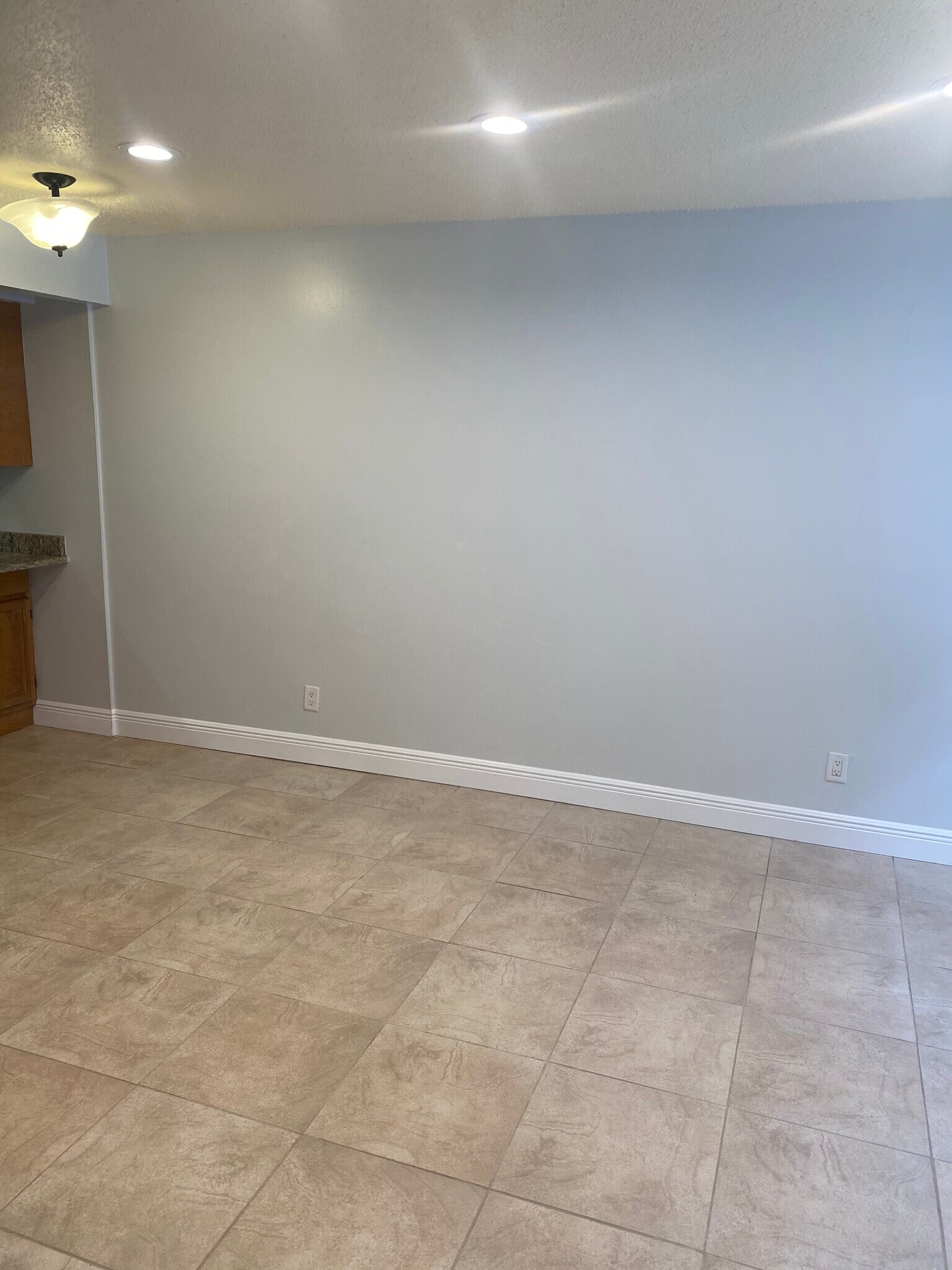 Living room - 700 Magnolia Ave