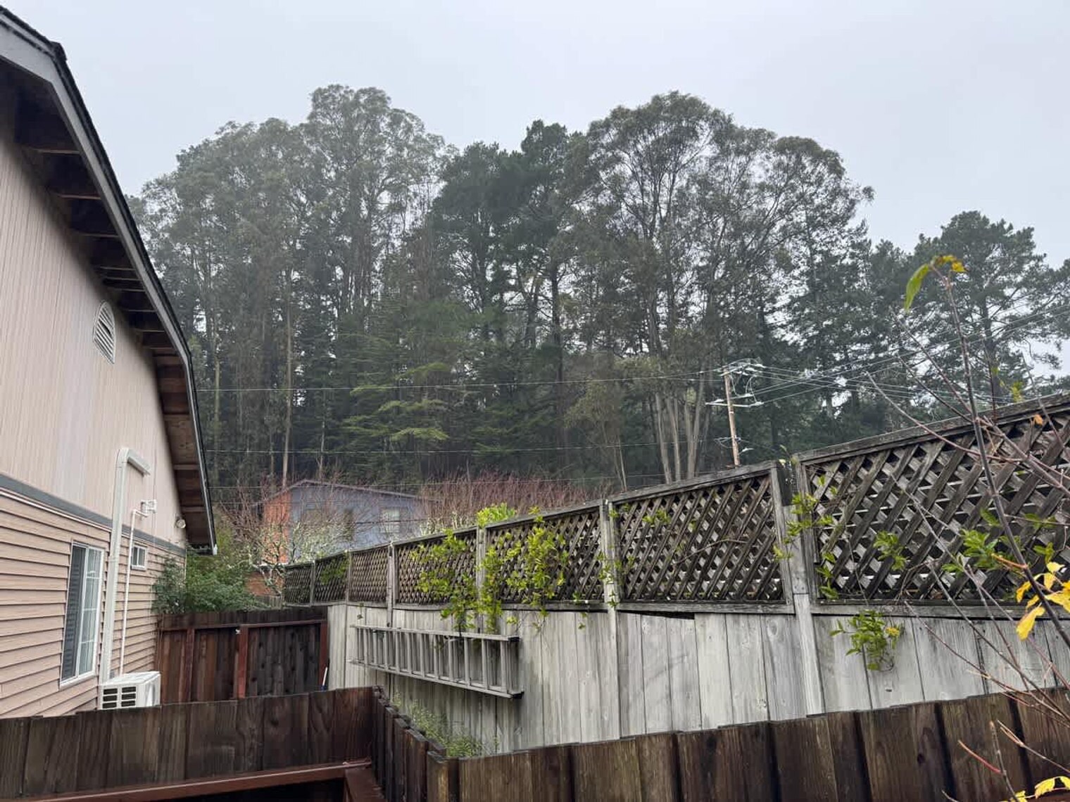 Building Photo - 292 Bell Ln