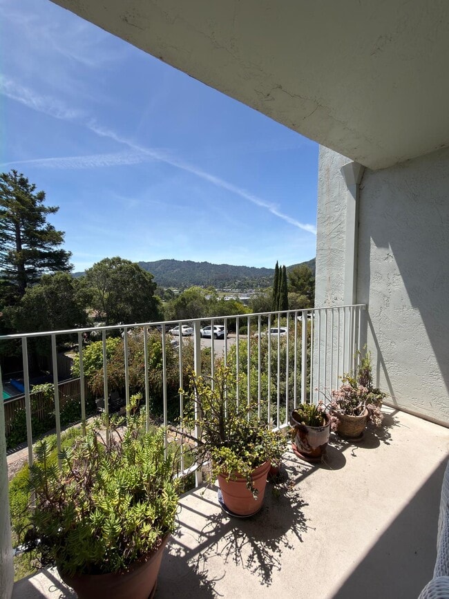 Building Photo - 173 Lower Via Casitas