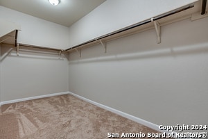 Building Photo - 2307 Clover Ridge