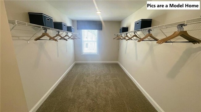 Building Photo - 3237 Madeira Dr