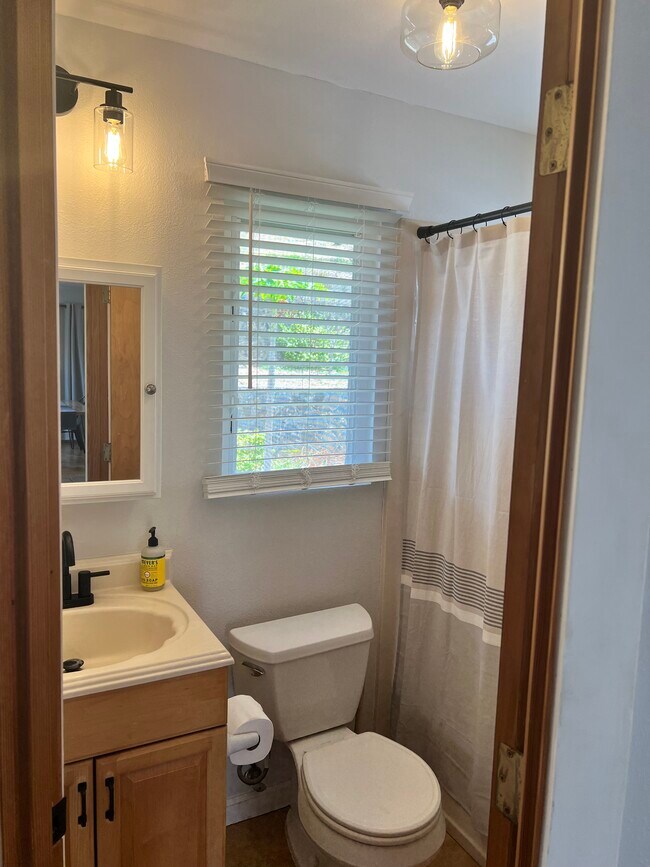 Bathroom - 1254 Loho St