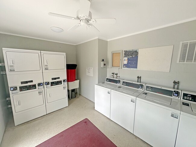 Building Photo - 1bd/1bth Condo by Payne Park & Downtown Sarasota