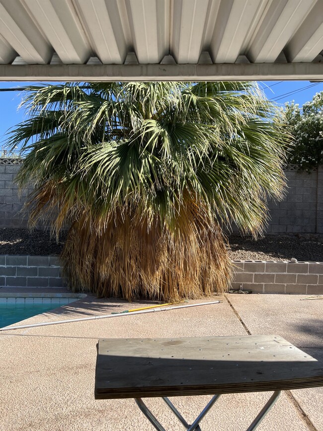 Building Photo - 1880 Caballero Way