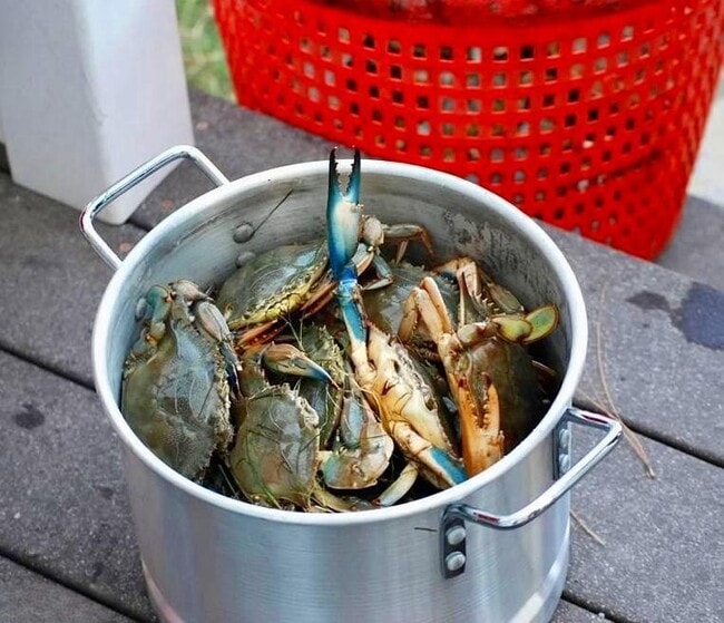 Building Photo - 8034 Riverview Rd