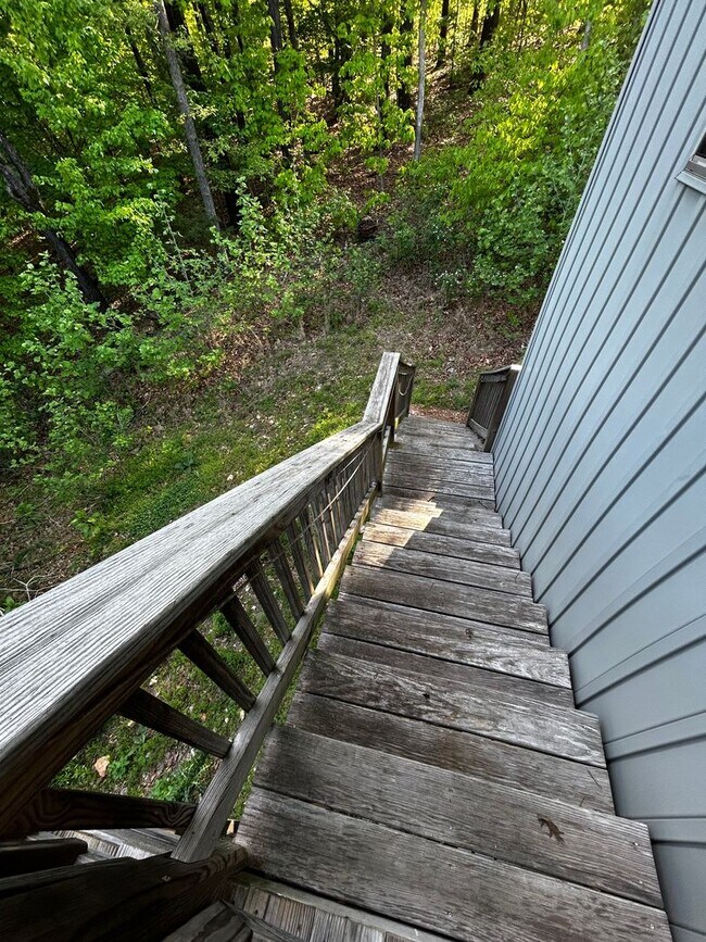 Building Photo - Private Treehouse Views - 3 Bed 2 Bath Home on Cul de sac in Bella Vista!
