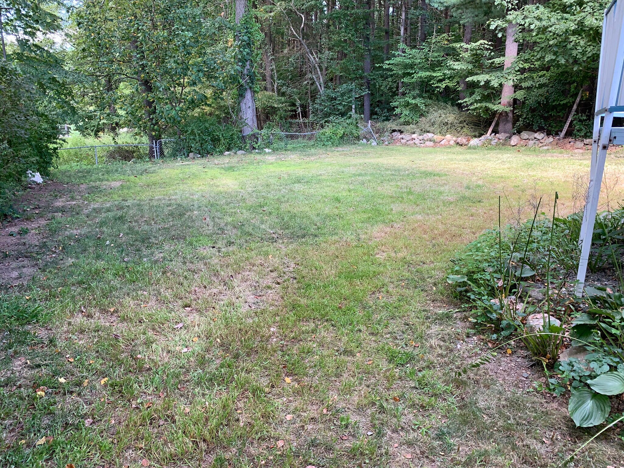 Backyard - 69 Carriage Dr