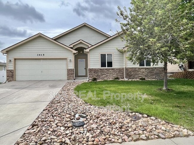 Primary Photo - 3415 Syrah St