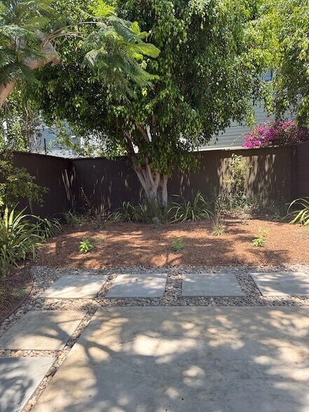 Backyard - Natural Habit and Native Plants - 4210 La Salle Ave