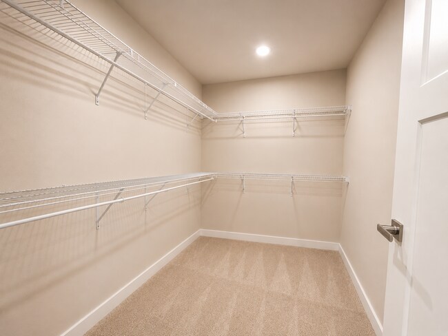 Building Photo - 1264 Balsa Tree Dr