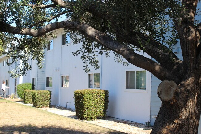 outside view - Elevate Apartment Homes (08/25)